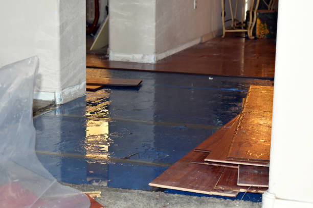 Professional Burst Pipe Cleanup technician working in Frankston, TX