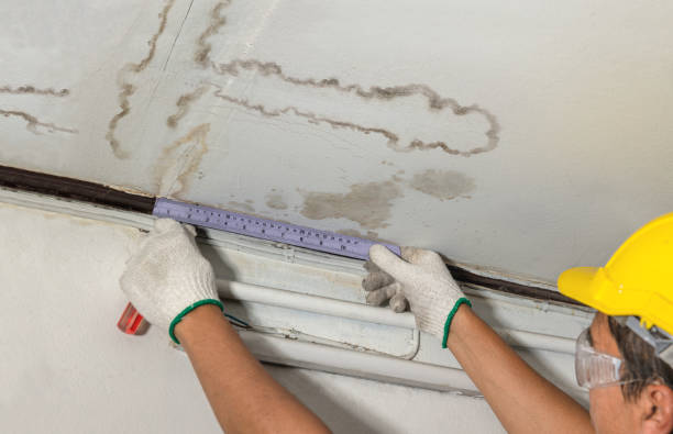 Reliable Burst Pipe Cleanup contractor in Frankston, TX by Local Water Damage Repair